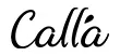 Calla Short Sleeved Leotard Tina